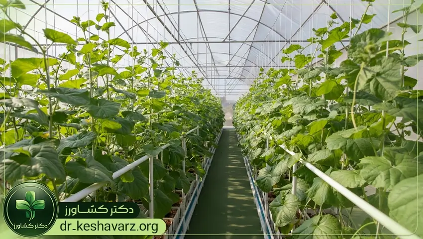 عناصر تشکیل دهنده کودهای مخصوص گلخانه. مخصوص گلخانه.