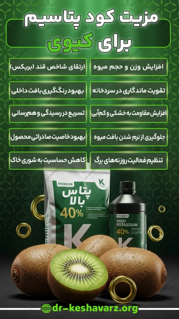 کود پتاسیم برای کیوی؛ بهترین کود برای کیوی.