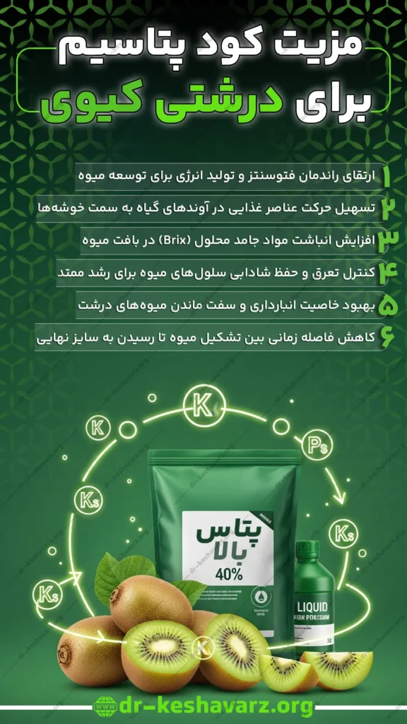 کود پتاس بالا بهترین کود برای درشت شدن کیوی.