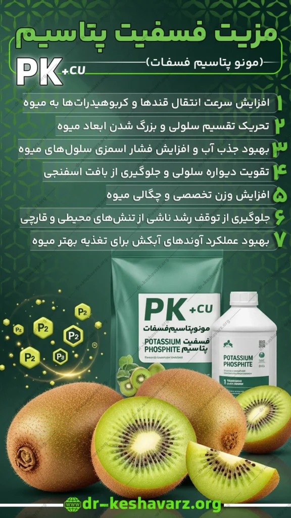 کود فسفیت پتاسیم بهترین کود برای درشت شدن کیوی.