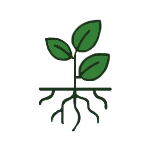 بررسی کودهای ارگانیک.