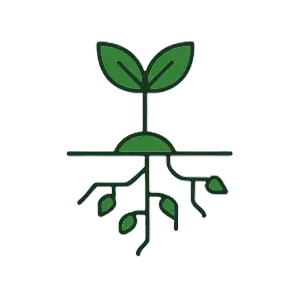 بررسی کودهای ریشه زا.