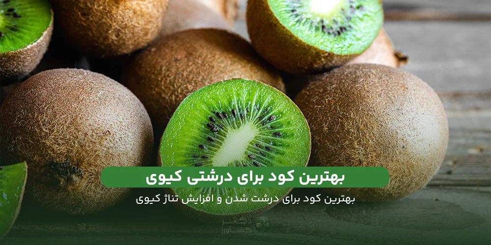 کود برای درشت شدن کیوی - دکتر کشاورز