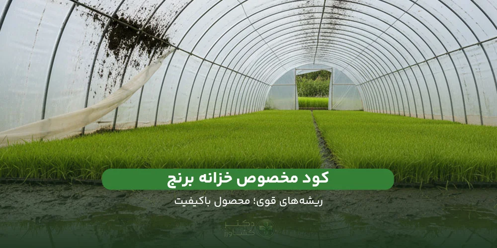 کود مخصوص خزانه برنج | ریشه‌های قوی؛ محصول باکیفیت - دکتر کشاورز