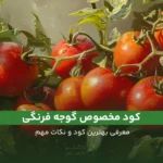 معرفی کود مخصوص گوجه فرنگی؛ بررسی عوامل مهم و نکات حائز اهمیت.