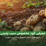 معرفی کود مخصوص سیب زمینی بهترین راه برای افزایش عملکرد سیب زمینی.