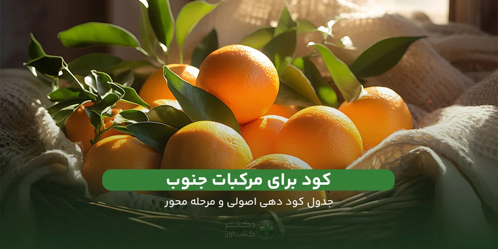 کود برای مرکبات جنوب همراه با جدول کود دهی و زمان مصرف.