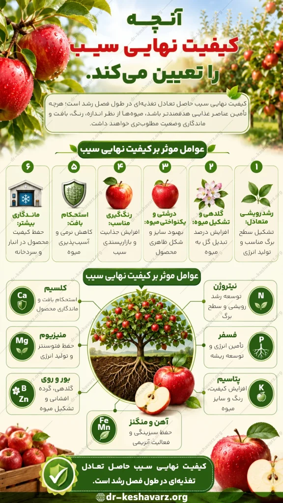 اینفوگرافی بهترین کود برای درخت سیب در وبسایت دکتر کشاورز.