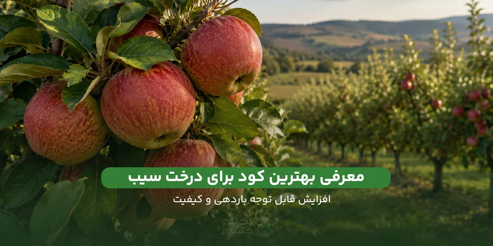 معرفی بهترین کود برای درخت سیب و ارائه زمان و روش و مقدار مصرف در سایت دکتر کشاورز.