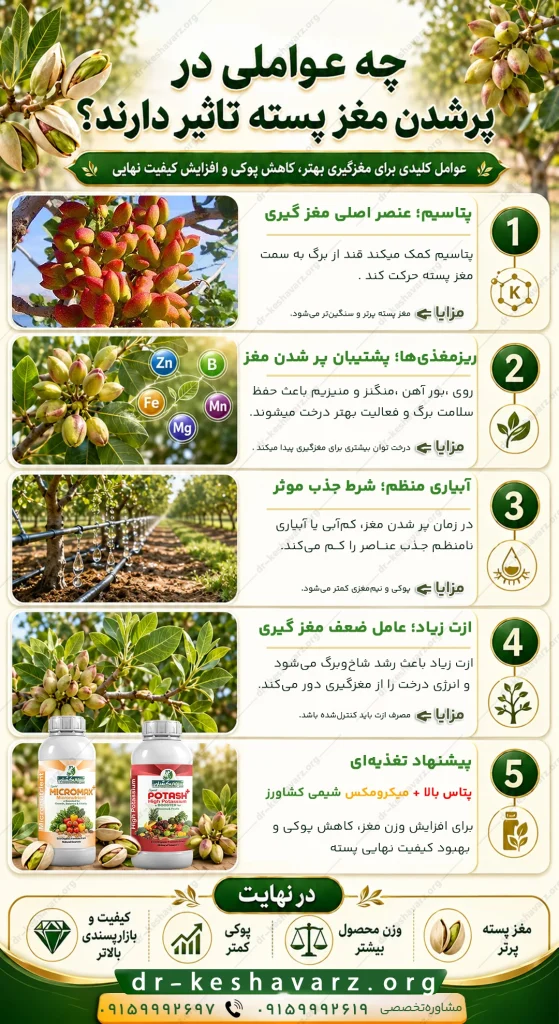 عوامل موثر و راهکار تغذیه ای و معرفی کود برای پر شدن مغز پسته.