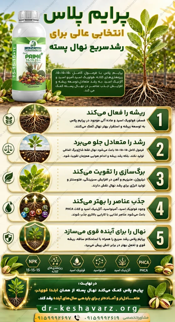 اطلاعات تصویری مربوط به کود برای رشد سریع نهال پسته _ کود افزایش دهنده رشد نهال پسته در دکتر کشاورز.