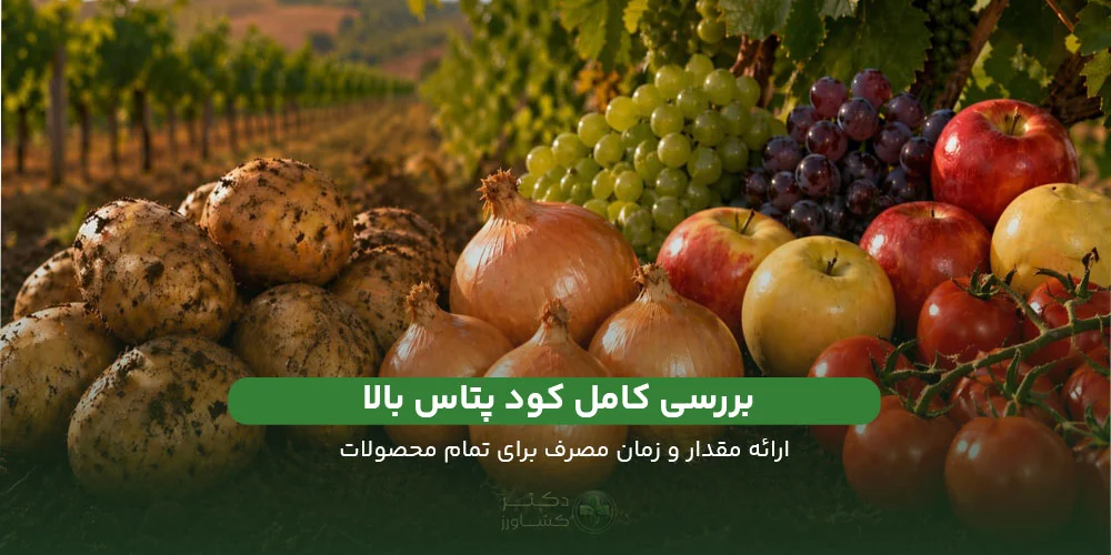 بررسی کامل کود پتاس بالا و ارائه زمان و مقدار مصرف و نکات مهم.