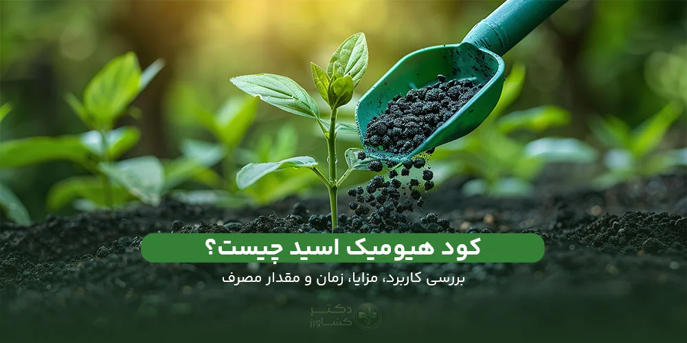 کود هیومیک اسید چیست و چه کاربردی دارد؟ بررسی زمان و مقدار مصرف.