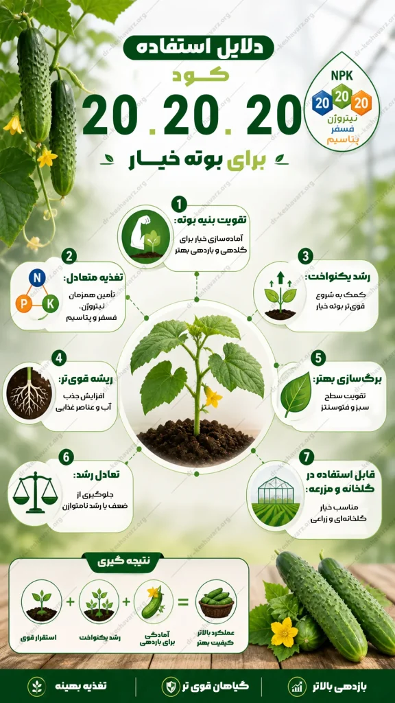 اطلاعات تصویری مربوط به کود سه بیست برای خیار؛ دکتر کشاورز.
