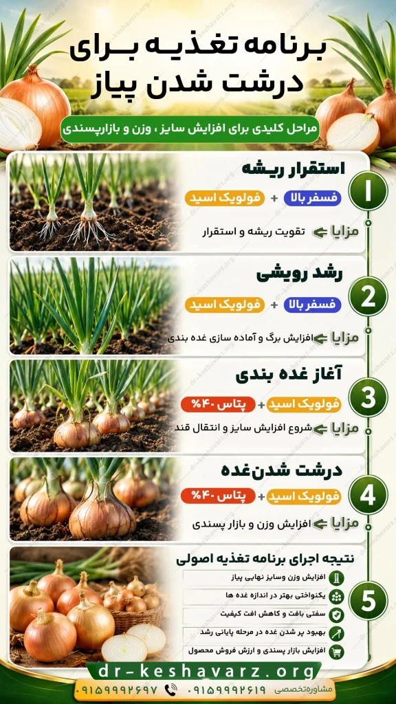 اطلاعات تصویری کود درشت کننده پیاز _ برنامه تغذیه برای درشت شدن پیاز. دکتر کشاورز.