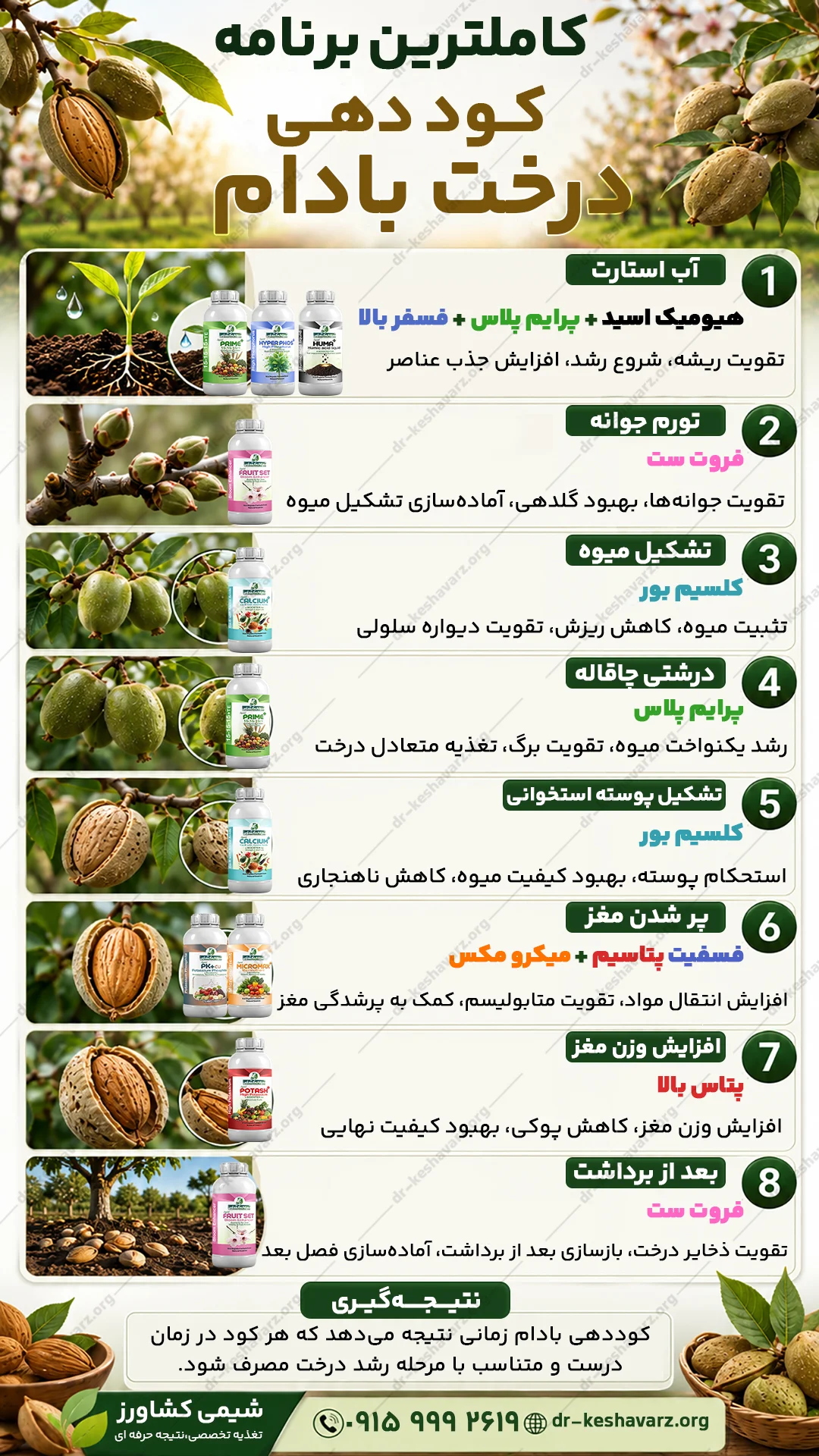 برنامه کودی برای درخت بادام به صورت تخصصی و جامع برای افزایش عملکرد و کیفیت.