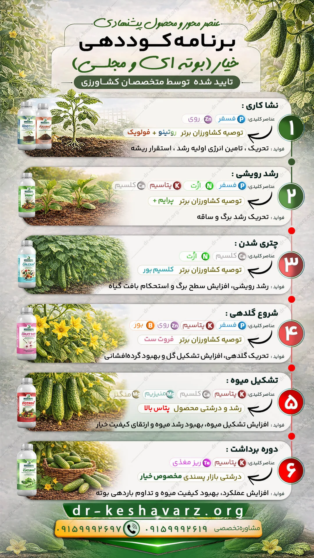 برنامه کودی برای خیار به طور کامل و جامع.