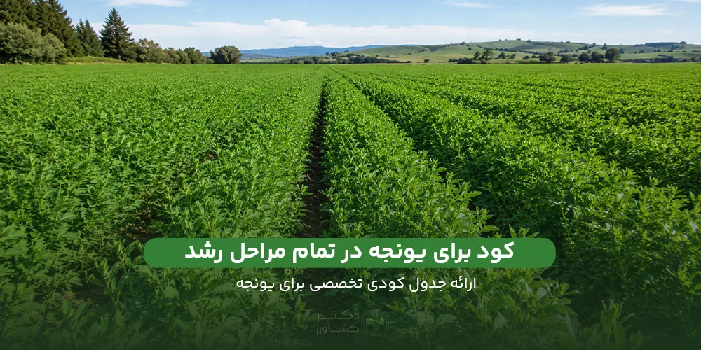 معرفی بهترین کود برای یونجه همراه با جدول تخصصی کود دهی.