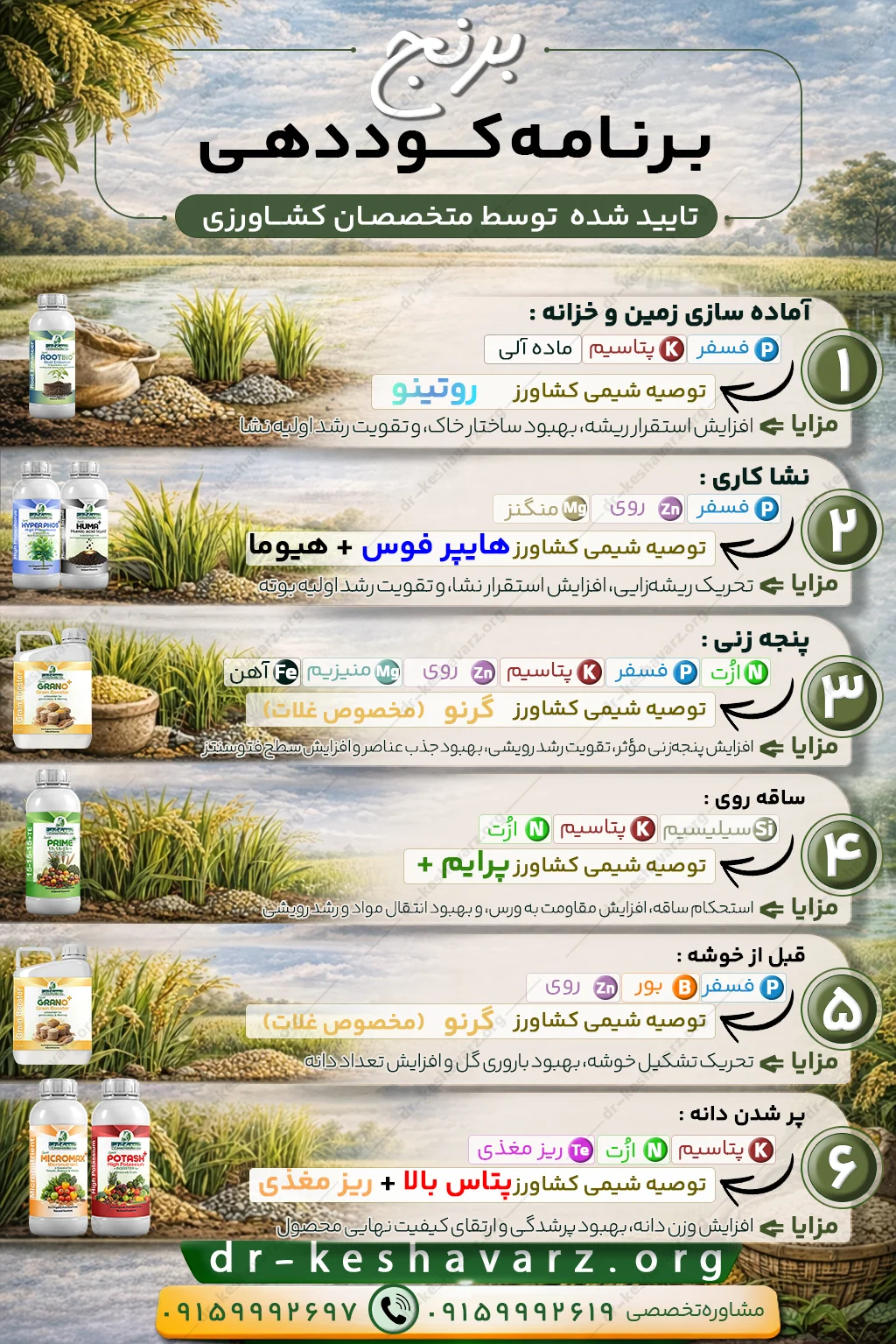 ارائه برنامه کودی برنج به صورت تخصصی؛ دکتر کشاورز.