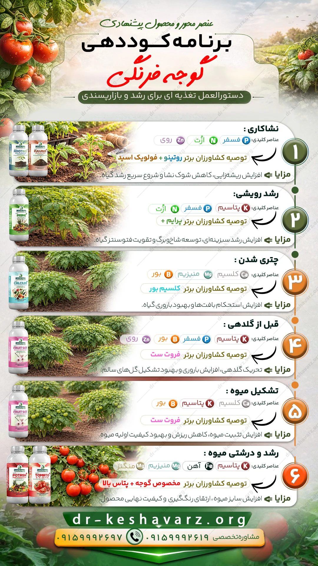 برنامه کودی گوجه فرنگی کاملا تخصصی و مرحله محور برای تولید بهترین گوجه فرنگی.