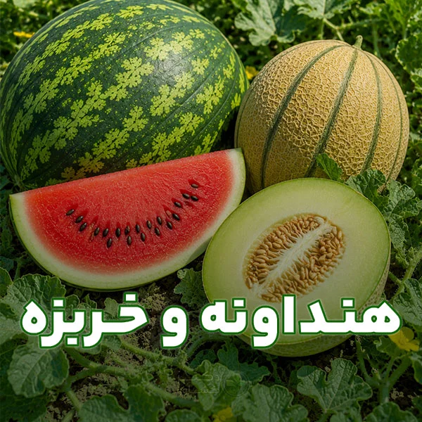 برنامه کوددهی هندوانه و خربزه به صورت تخصصی در فروشگاه دکتر کشاورز.