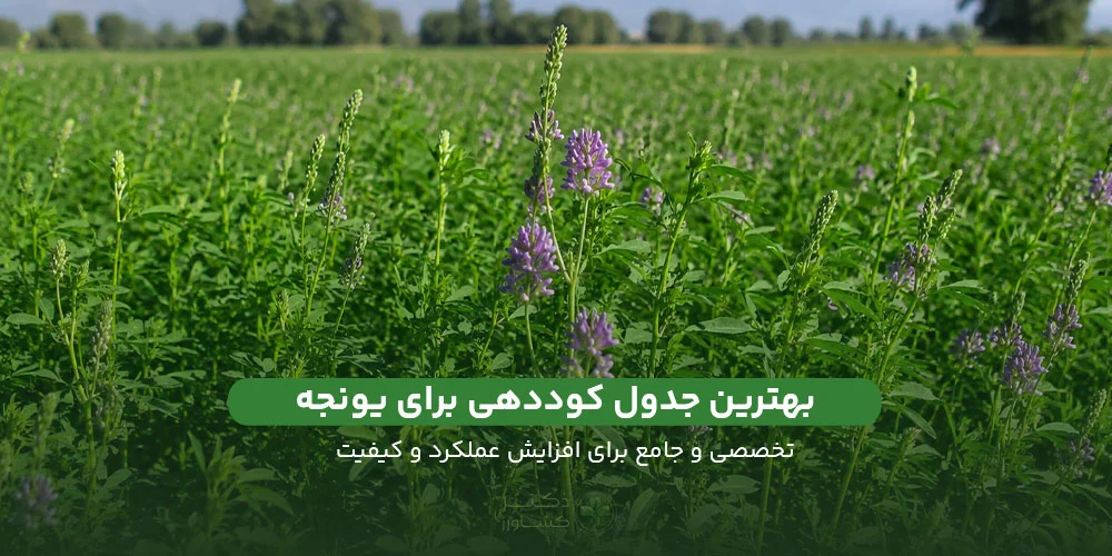 جدول کوودهی برای یونجه به صورت تخصصی و جامع در وبسایت دکتر کشاورز.