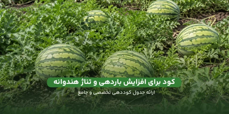 کود برای افزایش باردهی و تناژ هندوانه همراه با جدول کوددهی تخصصی در سایت دکتر کشاورز.
