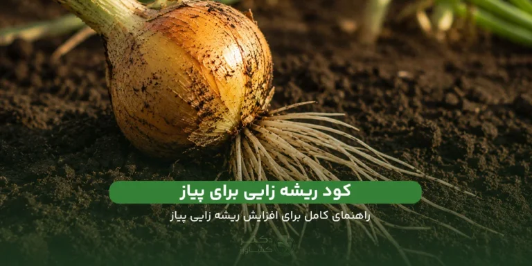 معرفی بهترین کود برای ریشه زایی پیاز در سایت دکتر کشاورز.